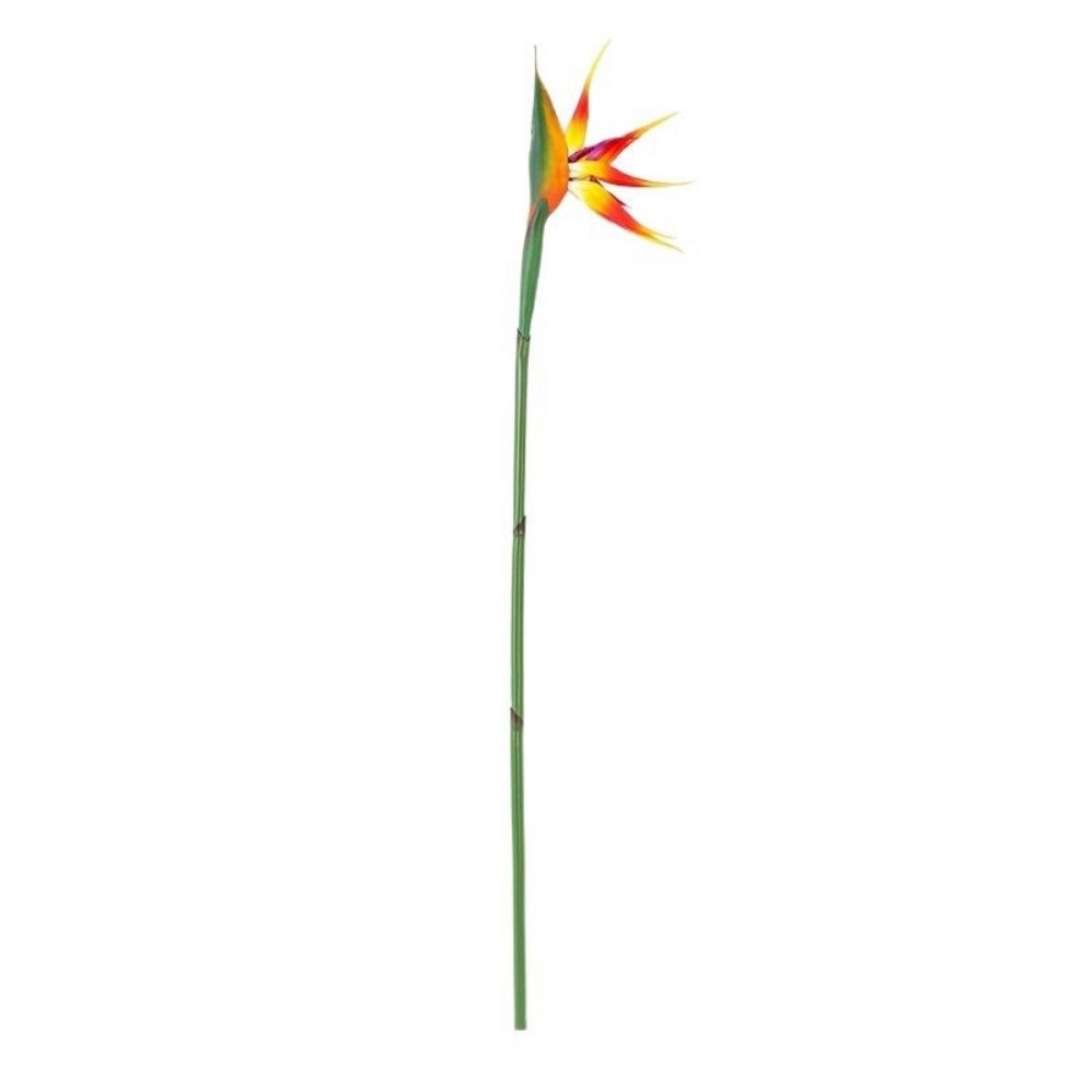 긴 줄기 인조 버드 오브 파라다이스 실제같은 촉감의 장 - Bird Paradise Strelitzia 리뷰 및 가격