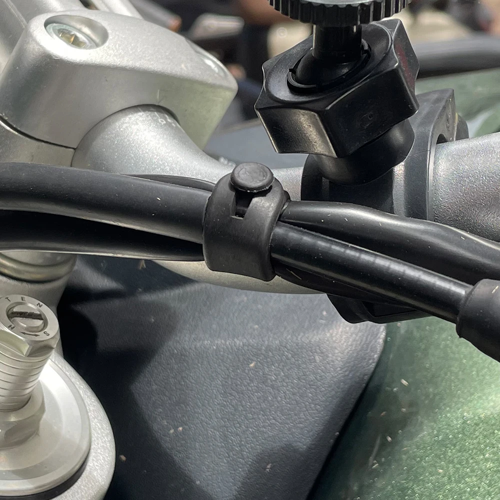 Ducati Monster Multistrada 120 - Monstera Adansonii 리뷰 및 가격